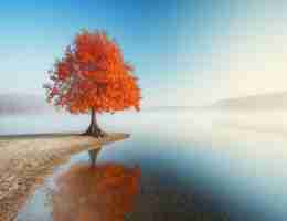 智‌能‍CDN节‍点﻿服​务‍